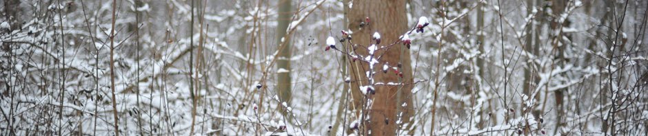 Rada národnej  kultúry Martin