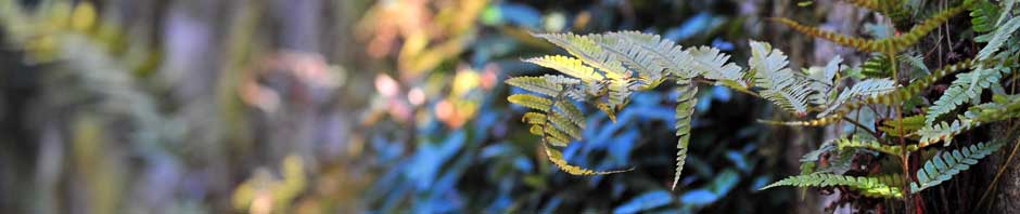 Rada národnej  kultúry Martin